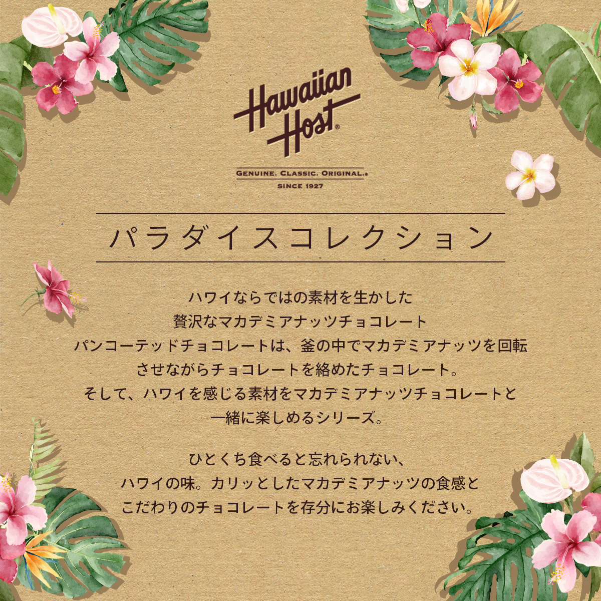 ココナッツ ハワイマカダミアチョコ ハワイアンホースト パラダイス